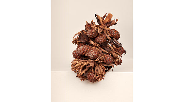 What is Raffia Raffia vs Straw more Helen Kaminski