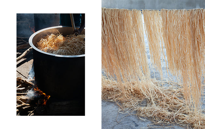 What is Raffia | Raffia vs Straw & more | Helen Kaminski